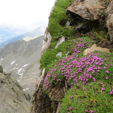 Jennys Schloessl Hotel Serfaus