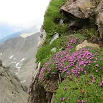 Jennys Schloessl Hotel Serfaus
