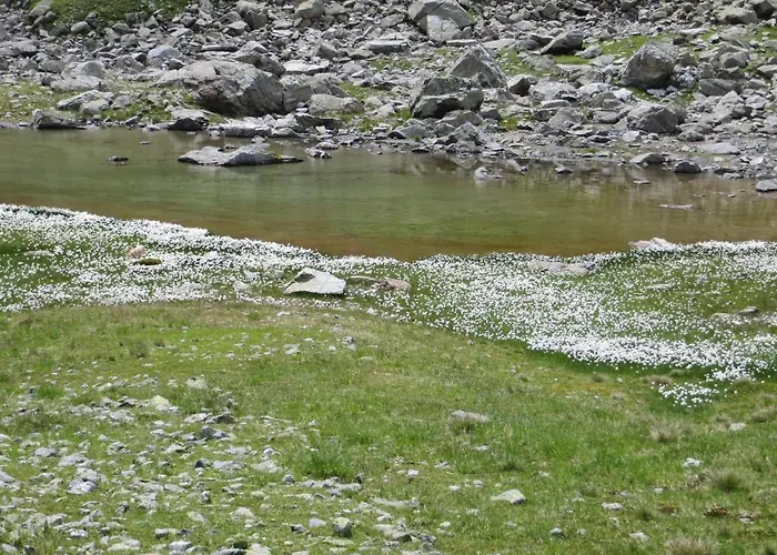 詹妮斯城堡酒店 酒店 瑟弗浩斯